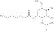 2-Acetamido-N-(e-aminocaproyl)-2-deoxy-β-D-glucopyranosylamine