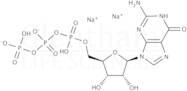 Guanosine-5''-triphosphate disodium salt