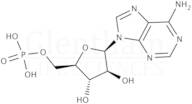 Adenine-9-beta-D-arabinofuranoside-5''-monophosphate