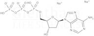 2''-Deoxyadenosine-5''-triphosphate disodium salt (dATP)