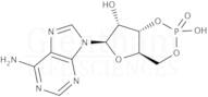 Adenosine 3''-,5''-cyclic monophosphate