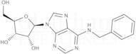6-Benzylaminopurine riboside (N-6-Benzyladenosine)
