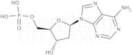 2''-Deoxyadenosine-5''-monophosphate