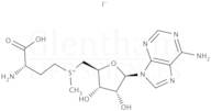 S-(5''-Adenosyl)-L-methionine iodide