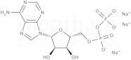 Adenosine 5''-diphosphate sodium salt