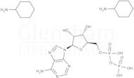 Adenosine 5′-diphosphate bis(cyclohexylammonium) salt