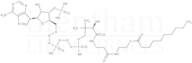 Decanoyl coenzymexa0A monohydrate