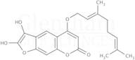 6'-7'-Dihydroxybergamottin