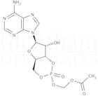 Adenosine 3′,5′-cyclic monophosphate acetoxymethyl ester