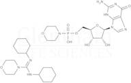 Guanosine 5′-monophosphomorpholidate 4-morpholine-N,N′-dicyclohexylcarboxamidine salt