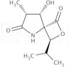 clasto-Lactacystin b-lactone