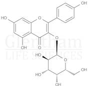 Kaempferol 3-O-D-galactoside