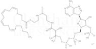 Arachidonoyl coenzymexa0A lithium salt