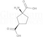 trans-(1S,3R)-ACPD