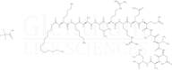 Autocamtide-2-related inhibitory peptide