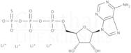 Adenosine 5′-[γ-thio]triphosphate tetralithium salt