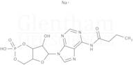 N6-Monobutyryladenosine 3′:5′-cyclic monophosphate sodium salt