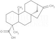 Kaurenoic acid