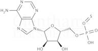 Adenosine 5''-O-thiomonophosphate dilithium salt