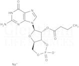 2′-O-Monobutyrylguanosine 3′:5′-cyclic monophosphate sodium salt