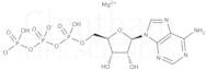 Adenosine 5''-triphosphate magnesium salt