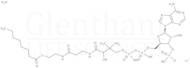 Octanoyl coenzymexa0A lithium salt hydrate
