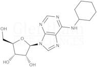 N6-Cyclohexyladenosine