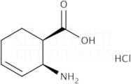 cis-2-Amino-3-cyclohexene-1-carboxylic acid hydrochloride