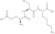 L-γ-Glutamyl-L-cysteinyl-L-lysine