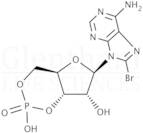 8-Bromoadenosine 3'',5''-cyclic monophosphate