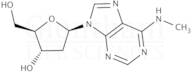 2''-Deoxy-N6-methyladenosine