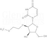 2''-O-(2-Methoxyethyl)uridine