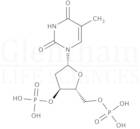 Thymidine-3'',5''-diphosphate