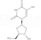 2''-Deoxy-5-hydroxyuridine