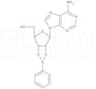 Adenosine 2'',3''-O-phenylboronate