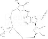 8-Azidocyclic adenosine diphosphate-ribose