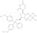 2''-O-tert-Butyldimethylsilyl-5''-O-DMT-uridine