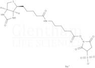 2''-Deoxy-5''-O-DMT-N6-methyl-8-oxoadenosine 3''-CE phosphoramidite