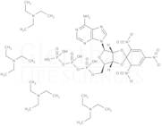 TNP-ATP triethylammonium salt, 10mM in water