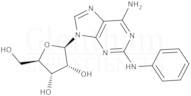 2-Phenylaminoadenosine