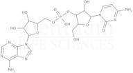 Adenylyl-3''-5''-cytidine