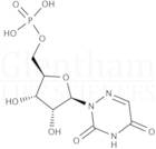 6-Azauridine-5''-monophosphate