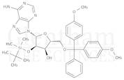 2''-O-tert-Butyldimethylsilyl-5''-O-DMT-adenosine