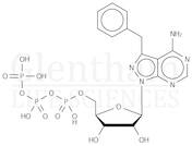 4-Amino-3-benzyl-1H-pyrazolo[3,4-d]pyrimidine 1-b-D-ribofuranosyl 5’-triphosphate