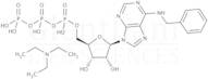 N6-Benzyladenosine triphosphate triethylammonium salt