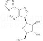 N6-Ethenoadenosine