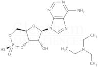 Adenosine 3'',5''-cyclic monophosphothioate Rp-isomer triethylammonium salt