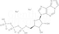 1,N6-Etheno-adenosine-5’-triphosphate sodium salt - 10 mM solution