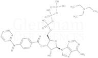 2''(3'')-O-(4-Benzoylbenzoyl)adenosine-5''-triphosphate triethylammonium salt