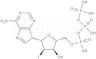 2''-Deoxy-2''-fluoroadenosine-5''-triphosphate